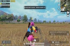 玩和平精英游戏怎么辅助队友（和平精英游戏怎么和队友对决）