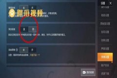 都在哪里下得辅助和平精英（在哪里巡查和平精英）