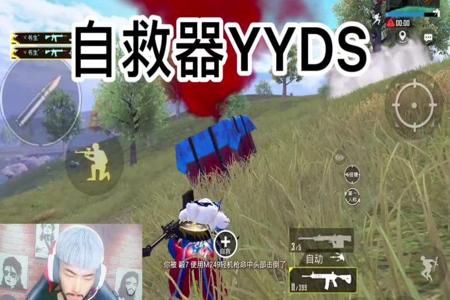 小鸽子辅助和平精英是骗人的吗（小鸽子和平精英辅助卡密是什么）