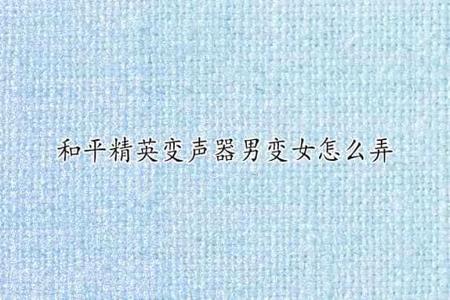 和平精英辅助变音器免费版（和平精英游戏变声器免费版）