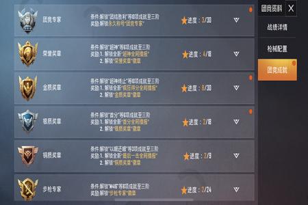 辅助是什么意思和平精英（账号是什么意思和平精英）