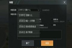 和平精英锁头外挂长什么样（和平精英外挂长什么样）