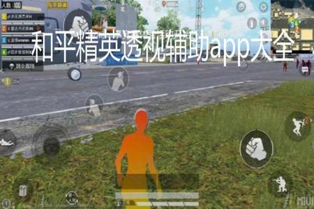 和平精英里面的辅助怎么弄（和平精英里面辅助怎么打开）