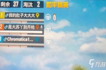 和平精英名字辅助什么（和平精英名字该用什么）