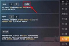 和平精英里怎么打辅助的（和平精英要怎么打开辅助）