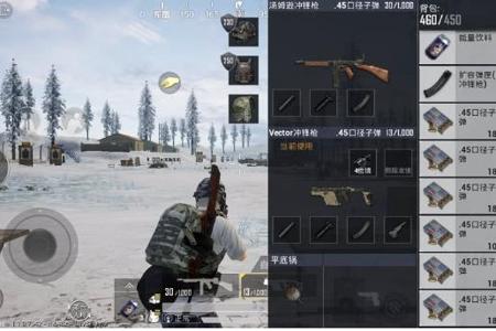 和平精英在哪块查外挂（和平精英查是否用外挂）