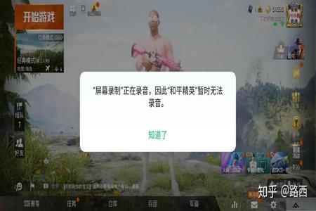 游戏辅助器和平精英怎么用不了（和平精英游戏辅助怎么用）