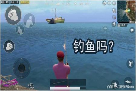 和平精英钓鱼辅助软件免费（和平精英钓鱼辅助）