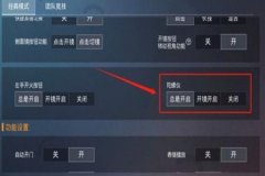 如何开启和平精英中的外挂（如何使用和平精英外挂）