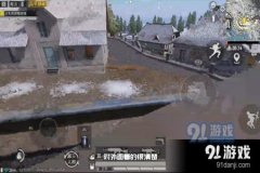 和平精英雪地外挂好多（和平精英雪地挂机）