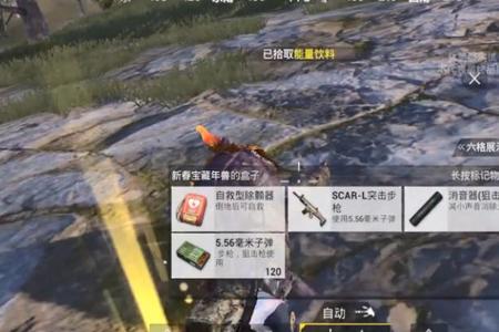 蜗牛辅助器和平精英怎么用（和平精英的辅助器该怎么用）