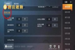 和平精英隐形外挂怎么卡（和平精英外挂怎么搞）