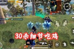 咏春免费辅助和平精英（咏春1v4和平精英）