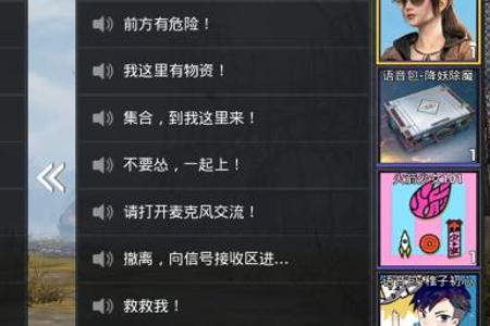 和平精英怎么开外挂语音（和平精英怎样开语音）
