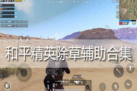淘宝有卖和平精英辅助的吗（淘宝和平精英游戏辅助）