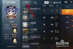 外挂有了之后怎么使用和平精英（怎么下和平精英）