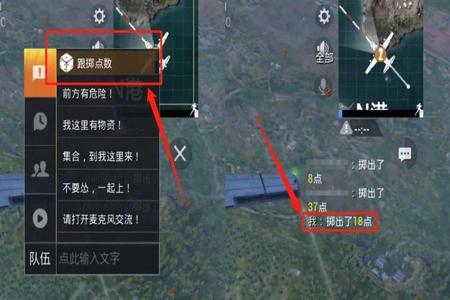 和平精英里的辅助功能在哪（和平精英里辅助功能）