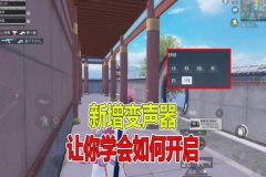 和平精英里面的外挂怎么看（和平精英里面的外挂视频）