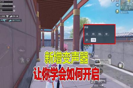 和平精英里面的外挂怎么看（和平精英里面的外挂视频）