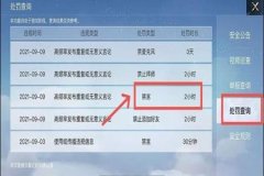 如何设置和平精英的外挂（如何使用和平精英外挂）