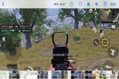玩和平精英如何搞到外挂（玩和平精英外挂有多少）