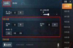 如何开和平精英辅助（和平精英辅助技巧）