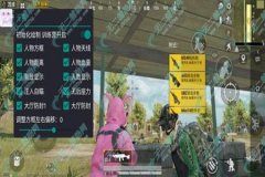 和平精英高手需要开辅助瞄准吗（和平精英高手都开辅助瞄准吗）
